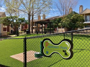 dog park luxury austin apartments
